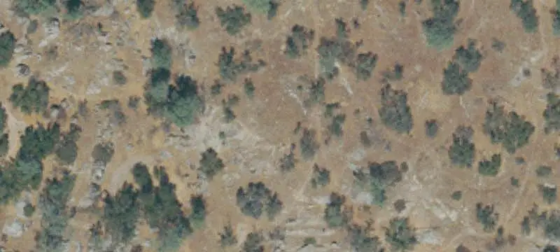 Lots/Land