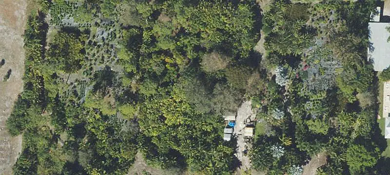 Working Nursery Property