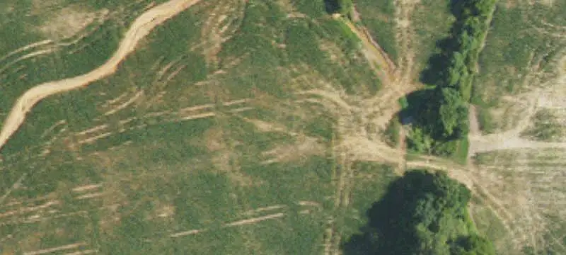 Agricultural Land with Road Frontage