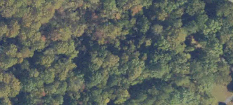 Farm Property