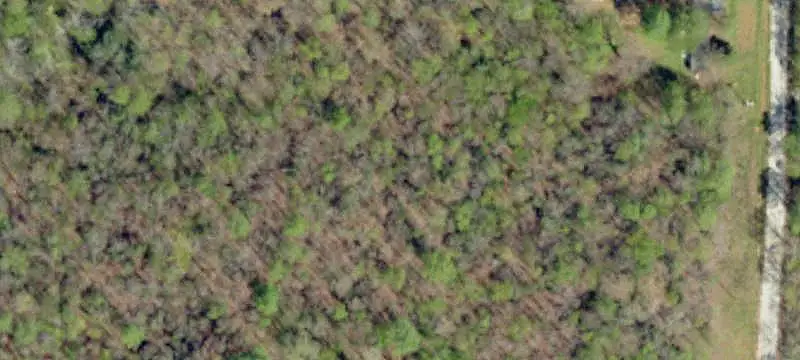 Unimproved Land