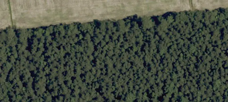Waterfront Land with Sound Access