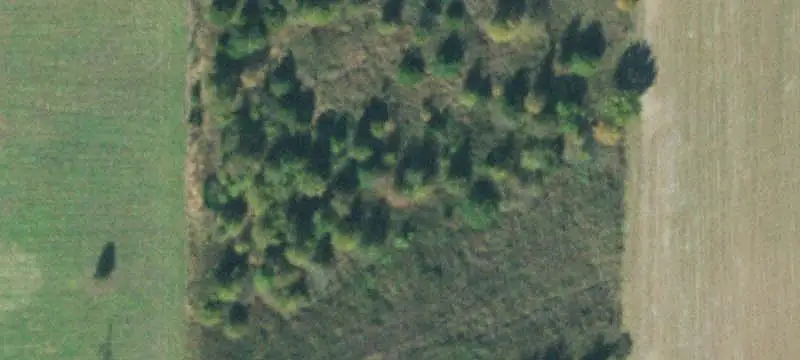 Land Near Blue Oval City