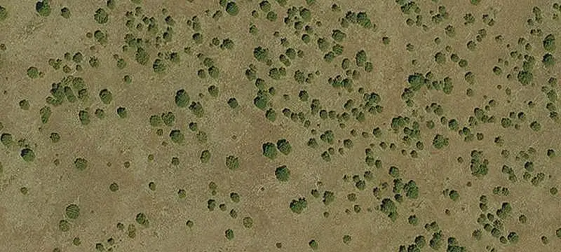 Vacant Land