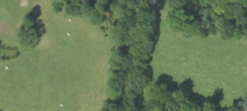 East Texas Recreational Land