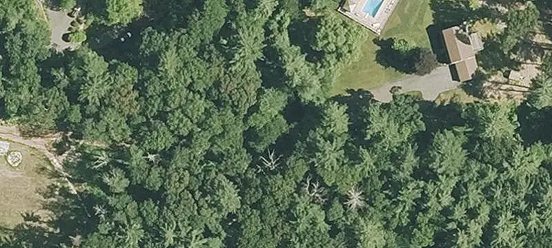 Land