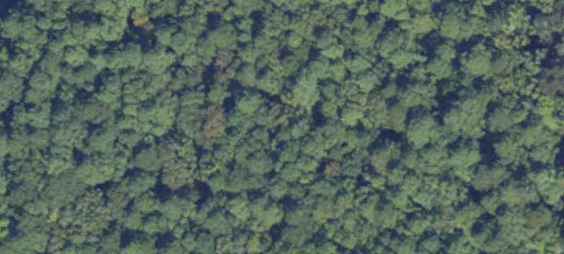 Land / Unimproved Land