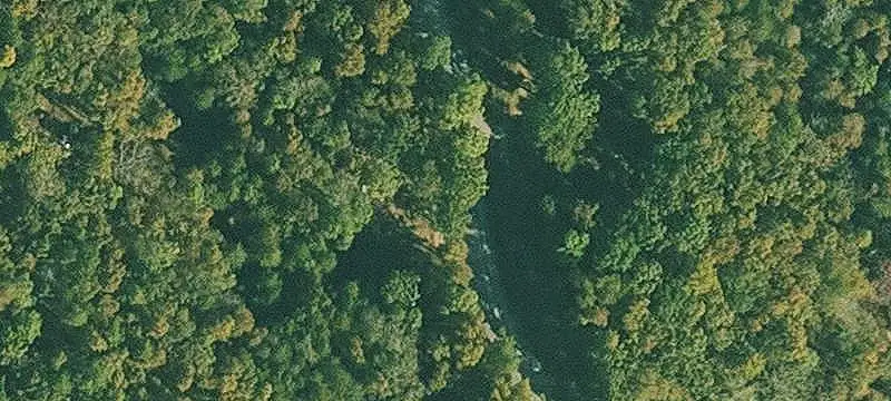 Wooded Hunting Land with Creek