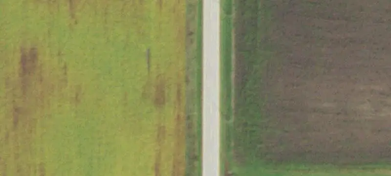 Agricultural Land