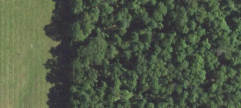 Grazing Farm with Springs