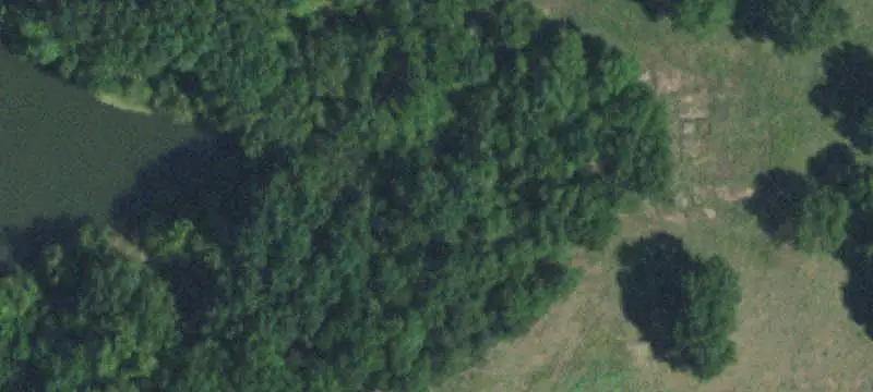 Cattle Ranch with Pasture