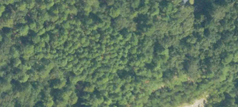 Land Parcel