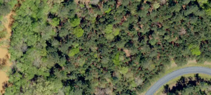 Vacant Land