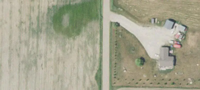 Open Agricultural Farmland With Woods