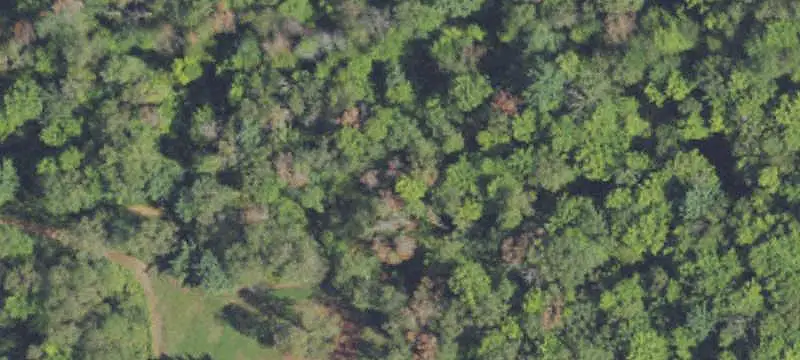 Land / Acreage