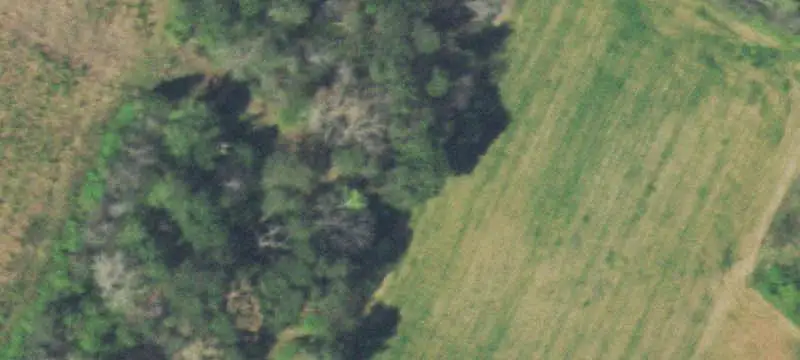 Cleared Agricultural Land With Barn