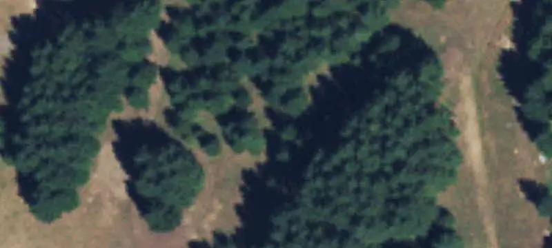 Forest Land Near Yale Lake