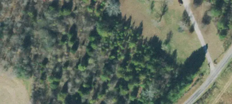 Cross-Fenced Cattle Farm