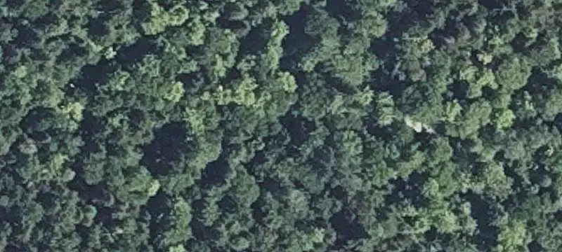 Vacant Land