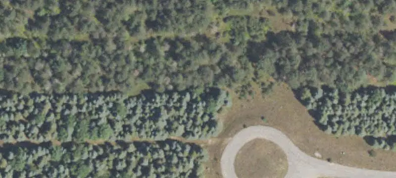 1 Spruce Hollow Trace, Fife Lake Township, MI 49633
