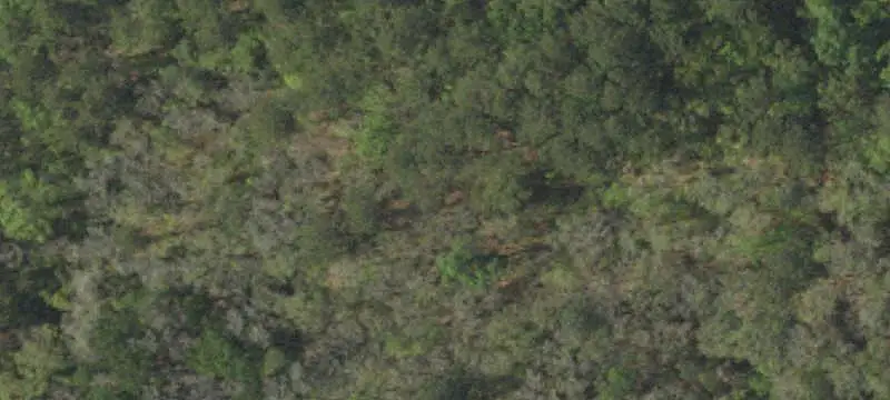 Unimproved Land