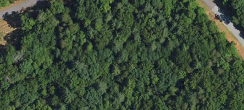 Land / Lot