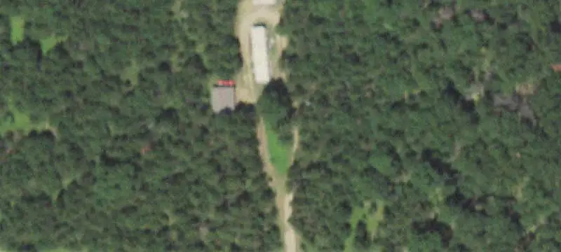 Wooded Hunting Land
