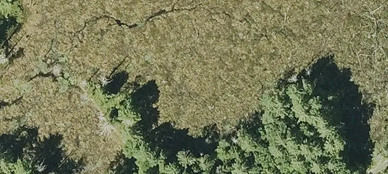 Industrial Land Near Town Utilities