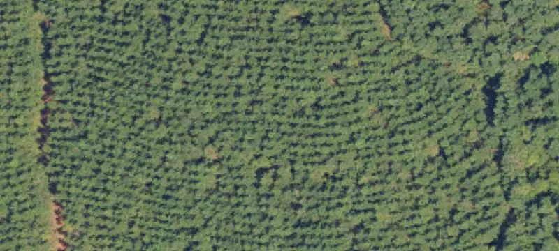Vacant Land