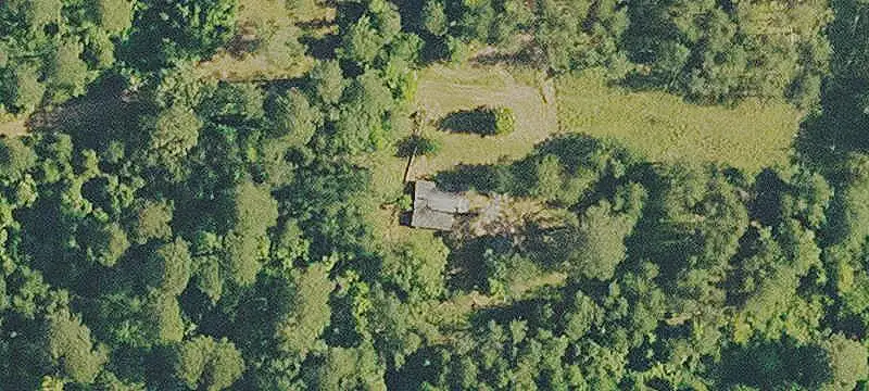 Hunting Land with Managed Pine Timber