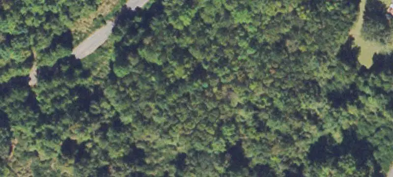 Lots/Land