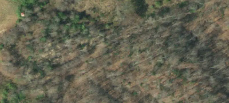 290 Cave Springs Road, Rogersville, TN 37857
