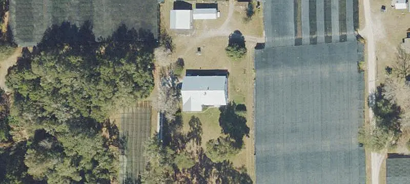 Foliage Farm With Shade Houses