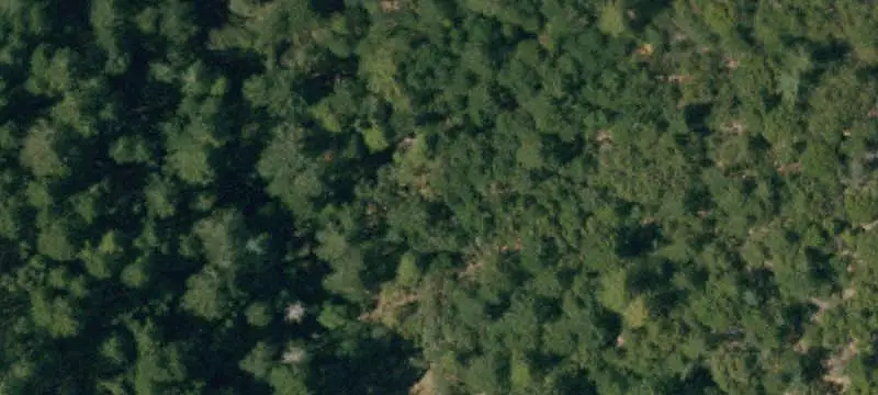 Land/Lot