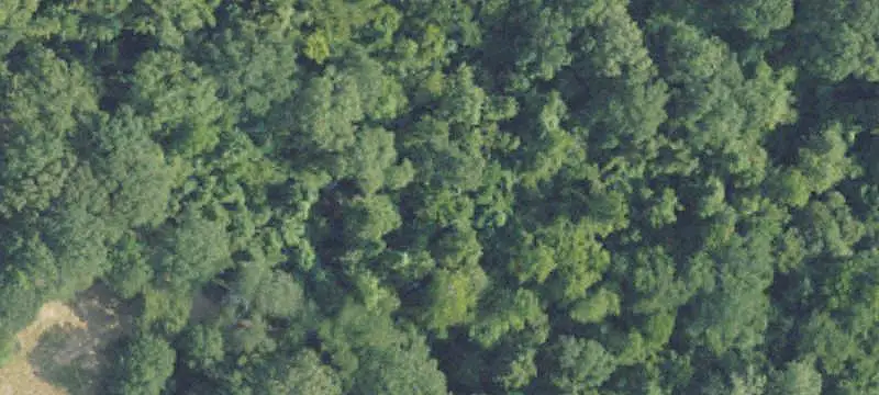 Hunting Land with Wetland Timber