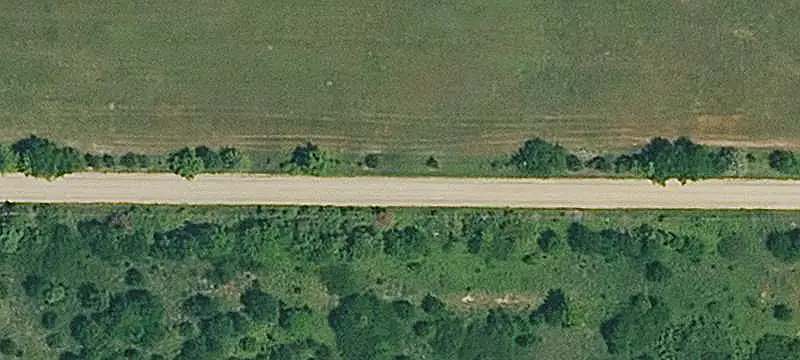 Whitetail Hunting Farm