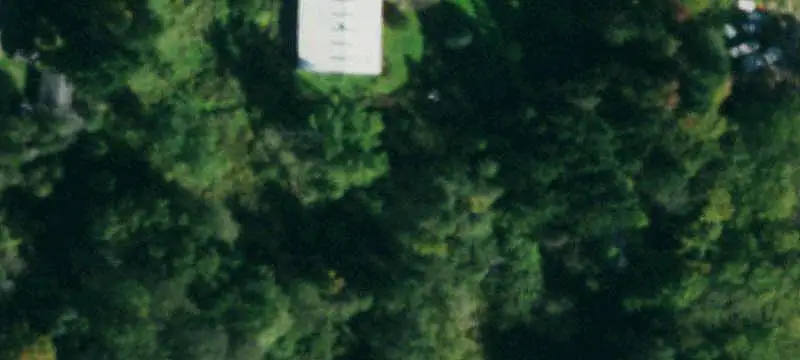 Wooded Recreation Land