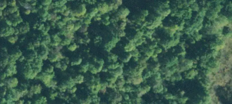 Farm with Peach Orchard