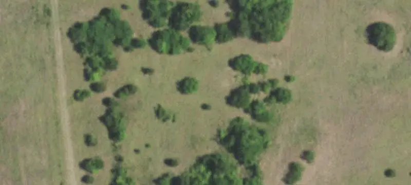 Unimproved Land