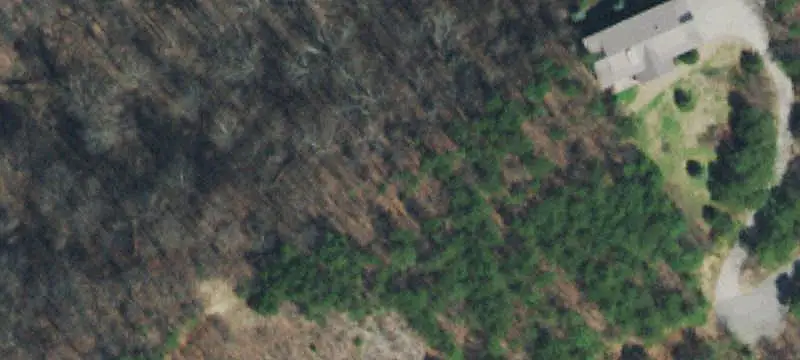 Unimproved Land