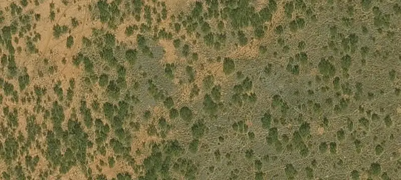 Level Vacant Land