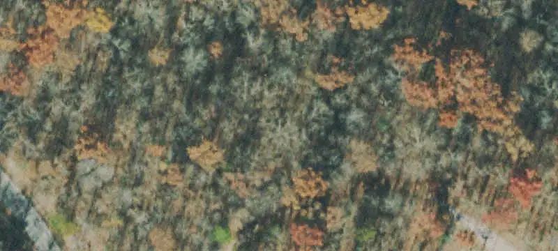 Lots & Acreage