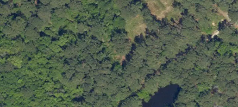 Land/Lot