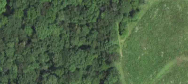 Agricultural Land with Wooded Areas