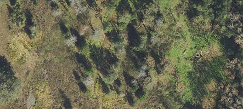 Hunting Land with Utilities