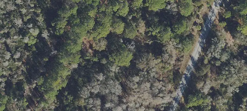 Wooded Recreation Land