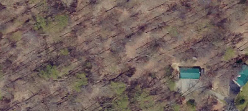 Wooded Hunting Land with Cabin