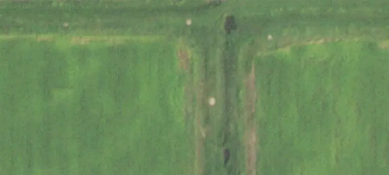 LAND