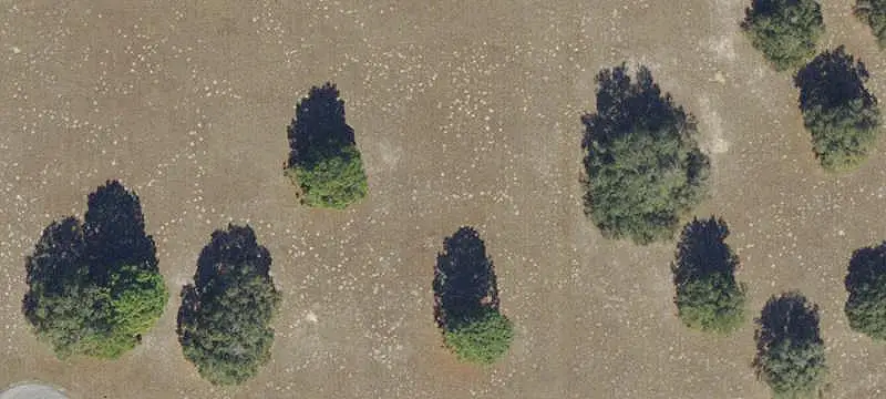 Unimproved Land