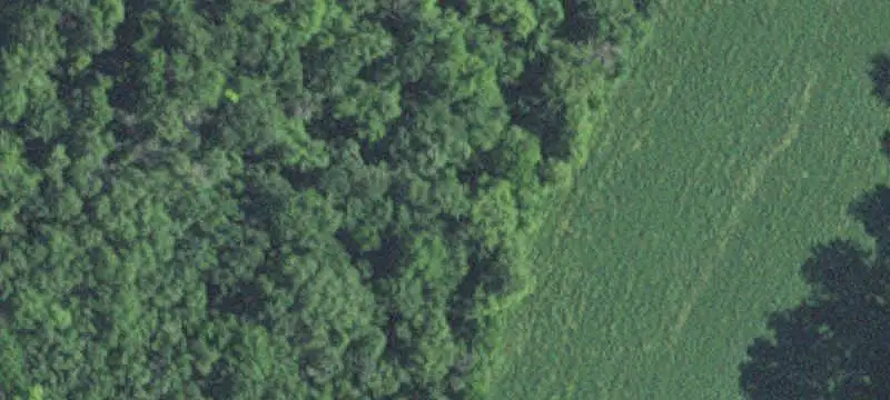 Agricultural Land